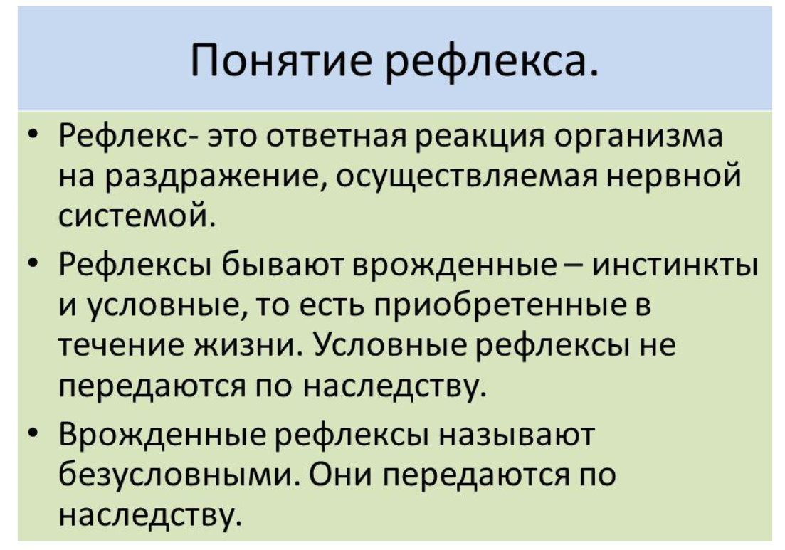reflexes - definition