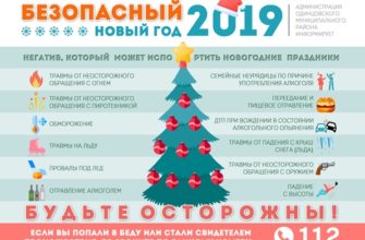 Safety rules for the New Year holidays