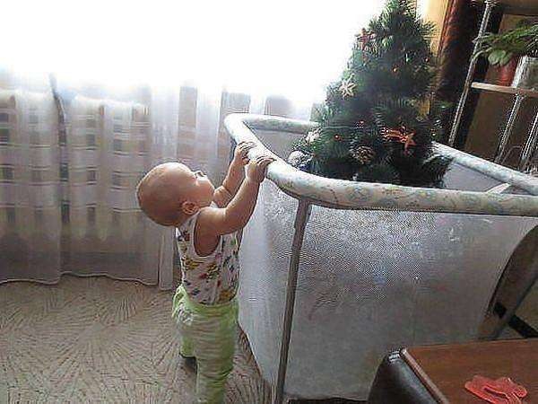 Christmas tree in the playpen