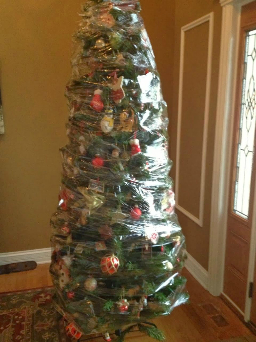 tree in protective film