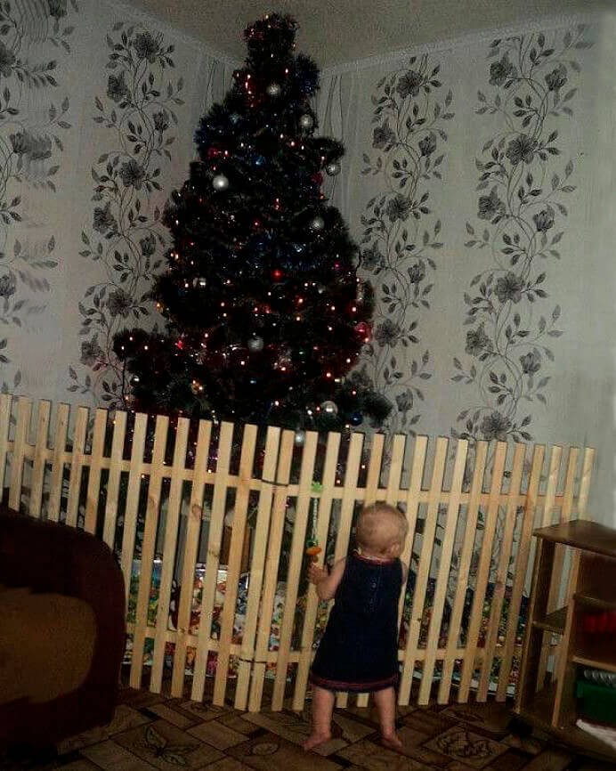 tree-by-fence