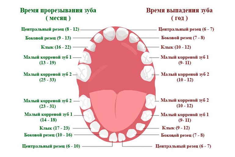 teething time in a child
