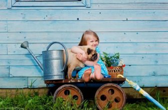what to do with the child in the country
